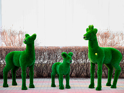 Топиари композиция Косули - газон Deluxe