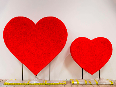 Топиари композиция Сердца - газон Eco