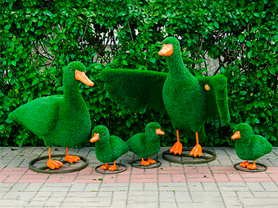 Топиари композиция Утки - газон Eco